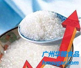 03月08日關(guān)于東邊地域和廣西地域白糖價格報價簡述